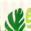 Eco-friendly print badge